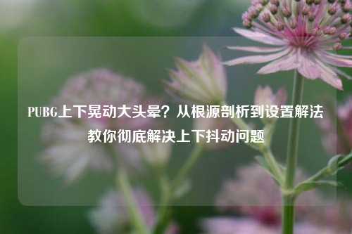 PUBG上下晃动大头晕?从根源剖析到设置解法教你彻底解决上下抖动问题