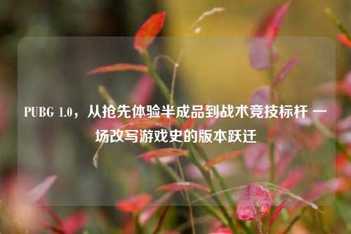 PUBG 1.0，从抢先体验半成品到战术竞技标杆 一场改写游戏史的版本跃迁