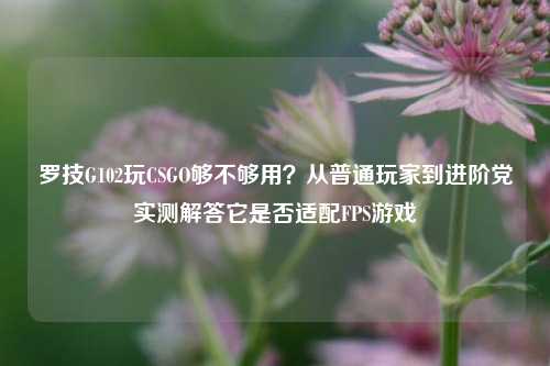 罗技G102玩CSGO够不够用?从普通玩家到进阶党实测解答它是否适配FPS游戏