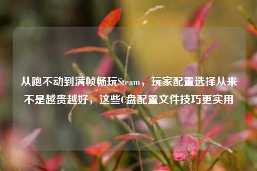 从跑不动到满帧畅玩Steam,玩家配置选择从来不是越贵越好,这些C盘配置文件技巧更实用