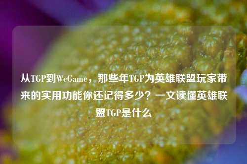 从TGP到WeGame,那些年TGP为英雄联盟玩家带来的实用功能你还记得多少?一文读懂英雄联盟TGP是什么