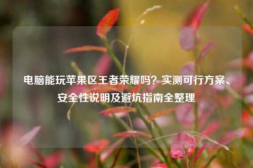 电脑能玩苹果区王者荣耀吗？实测可行方案、安全性说明及避坑指南全整理