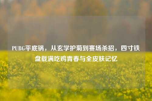 PUBG平底锅，从玄学护菊到赛场杀招，四寸铁盘载满吃鸡青春与全皮肤记忆