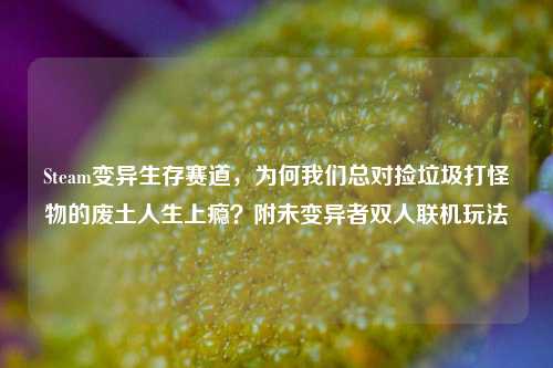 Steam变异生存赛道，为何我们总对捡垃圾打怪物的废土人生上瘾？附未变异者双人联机玩法