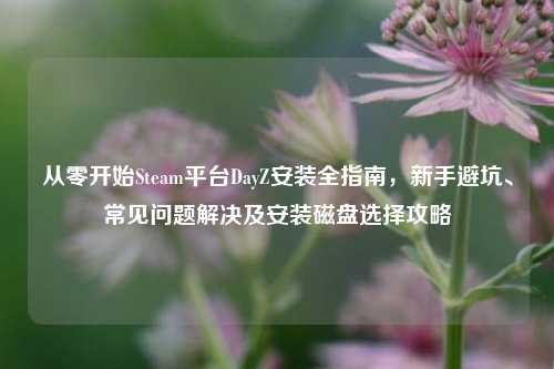 从零开始Steam平台DayZ安装全指南,新手避坑、常见问题解决及安装磁盘选择攻略
