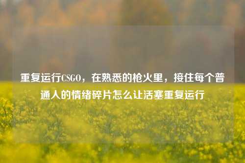 重复运行CSGO,在熟悉的枪火里,接住每个普通人的情绪碎片怎么让活塞重复运行