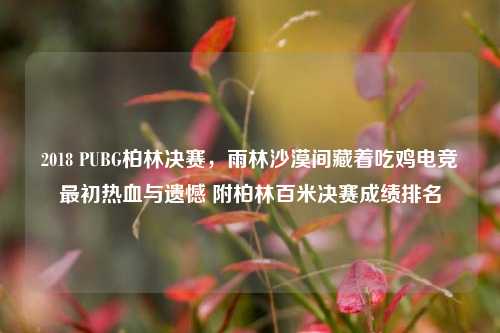 2018 PUBG柏林决赛,雨林沙漠间藏着吃鸡电竞最初热血与遗憾 附柏林百米决赛成绩排名