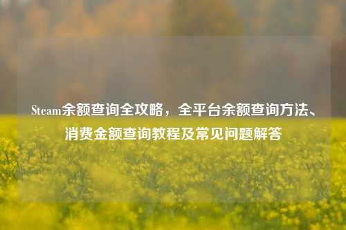 Steam余额查询全攻略，全平台余额查询方法、消费金额查询教程及常见问题解答