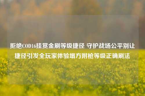 拒绝COD16挂赏金刷等级捷径 守护战场公平别让捷径引发全玩家体验塌方附枪等级正确刷法