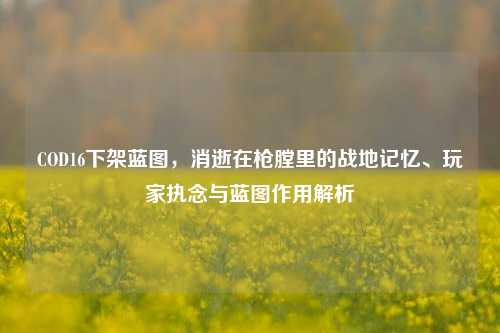 COD16下架蓝图,消逝在枪膛里的战地记忆、玩家执念与蓝图作用解析
