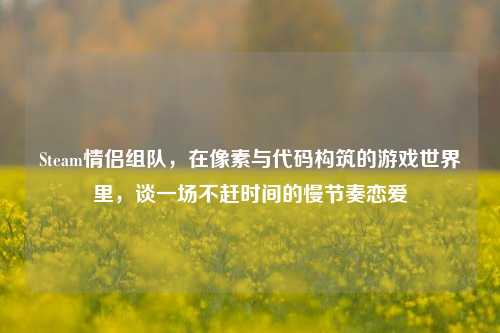 Steam情侣组队,在像素与代码构筑的游戏世界里,谈一场不赶时间的慢节奏恋爱