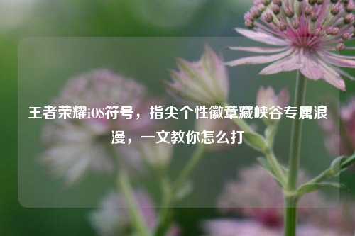 王者荣耀iOS符号,指尖个性徽章藏峡谷专属浪漫,一文教你怎么打