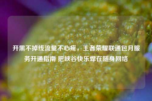 开黑不掉线流量不心疼，王者荣耀联通包月服务开通指南 把峡谷快乐焊在随身网络