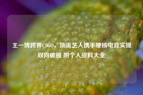 王一博跨界CSGO，顶流艺人携手硬核电竞实现双向破圈 附个人资料大全
