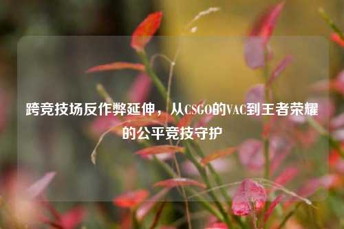 跨竞技场反作弊延伸,从CSGO的VAC到王者荣耀的公平竞技守护