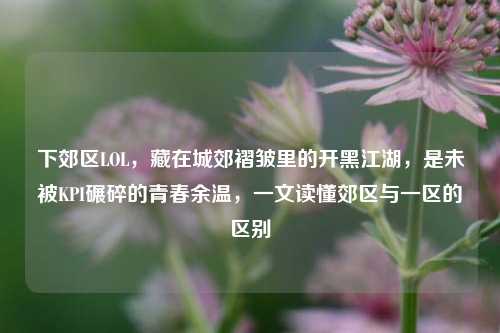 下郊区LOL,藏在城郊褶皱里的开黑江湖,是未被KPI碾碎的青春余温,一文读懂郊区与一区的区别