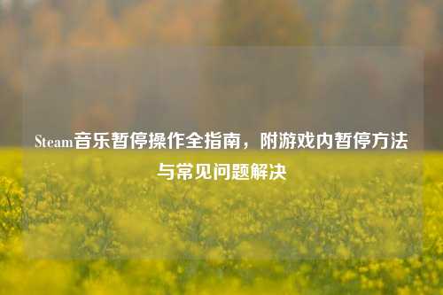 Steam音乐暂停操作全指南,附游戏内暂停方法与常见问题解决