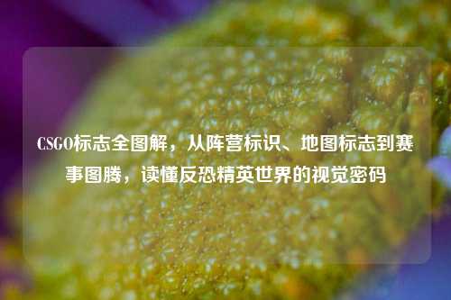 CSGO标志全图解,从阵营标识、地图标志到赛事图腾,读懂反恐精英世界的视觉密码