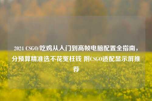 2024 CSGO/吃鸡从入门到高帧电脑配置全指南,分预算精准选不花冤枉钱 附CSGO适配显示屏推荐