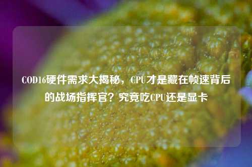 COD16硬件需求大揭秘,CPU才是藏在帧速背后的战场指挥官?究竟吃CPU还是显卡