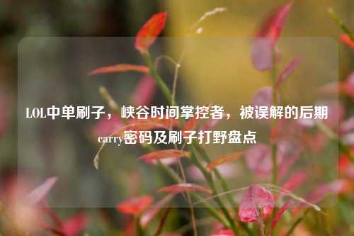 LOL中单刷子,峡谷时间掌控者,被误解的后期carry密码及刷子打野盘点