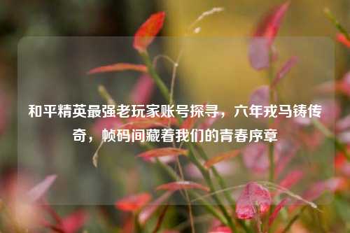 和平精英最强老玩家账号探寻,六年戎马铸传奇,帧码间藏着我们的青春序章