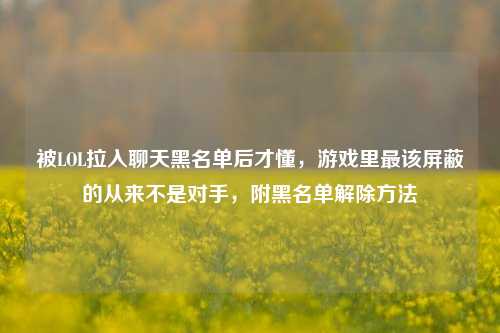被LOL拉入聊天黑名单后才懂，游戏里最该屏蔽的从来不是对手，附黑名单解除方法