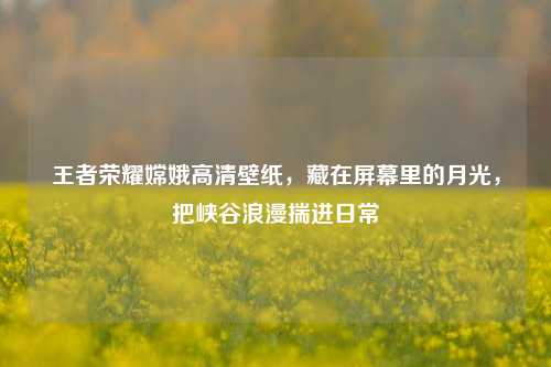 王者荣耀嫦娥高清壁纸,藏在屏幕里的月光,把峡谷浪漫揣进日常