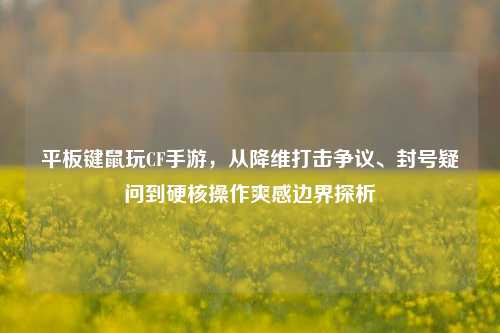 平板键鼠玩CF手游,从降维打击争议、封号疑问到硬核操作爽感边界探析