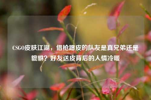 CSGO皮肤江湖,借枪蹭皮的队友是真兄弟还是貔貅?好友送皮背后的人情冷暖