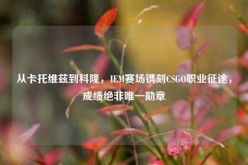 从卡托维兹到科隆,IEM赛场镌刻CSGO职业征途,成绩绝非唯一勋章