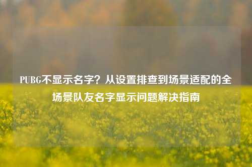 PUBG不显示名字？从设置排查到场景适配的全场景队友名字显示问题解决指南