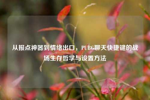 从报点神器到情绪出口,PUBG聊天快捷键的战场生存哲学与设置方法
