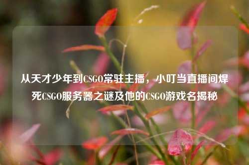 从天才少年到CSGO常驻主播,小叮当直播间焊死CSGO服务器之谜及他的CSGO游戏名揭秘