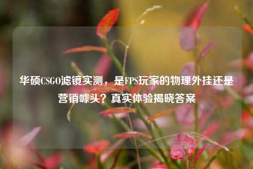 华硕CSGO滤镜实测,是FPS玩家的物理外挂还是营销噱头?真实体验揭晓答案