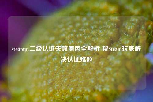 steampy二级认证失败原因全解析 帮Steam玩家解决认证难题