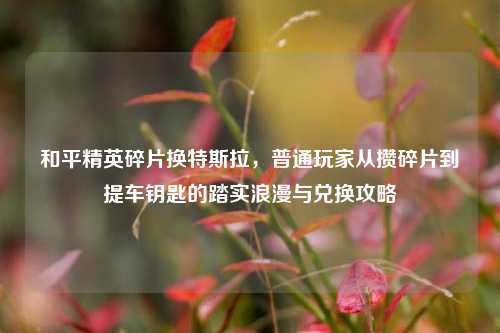 和平精英碎片换特斯拉，普通玩家从攒碎片到提车钥匙的踏实浪漫与兑换攻略