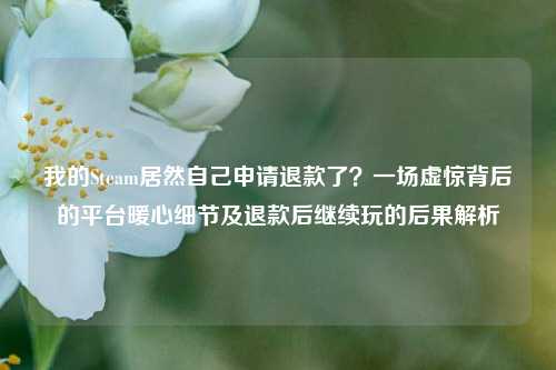 我的Steam居然自己申请退款了?一场虚惊背后的平台暖心细节及退款后继续玩的后果解析