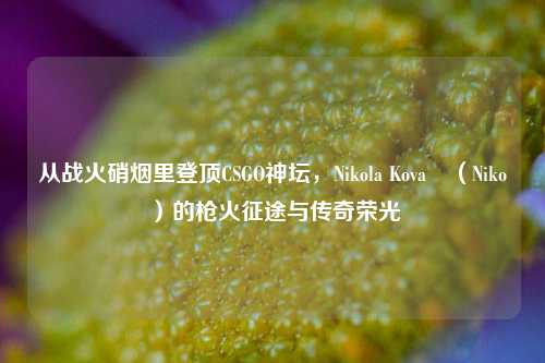 从战火硝烟里登顶CSGO神坛,Nikola Kovač(Niko)的枪火征途与传奇荣光