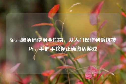 Steam激活码使用全指南,从入门操作到避坑技巧,手把手教你正确激活游戏