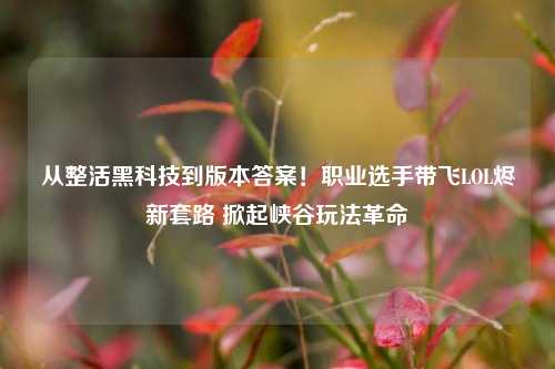 从整活黑科技到版本答案!职业选手带飞LOL烬新套路 掀起峡谷玩法革命