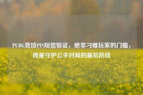 PUBG竞技PIN短信验证，绝非刁难玩家的门槛，而是守护公平对局的最后防线