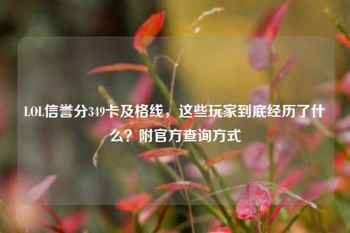 LOL信誉分349卡及格线，这些玩家到底经历了什么？附官方查询方式