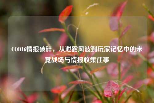 COD16情报破碎，从泄露风波到玩家记忆中的未竟战场与情报收集往事