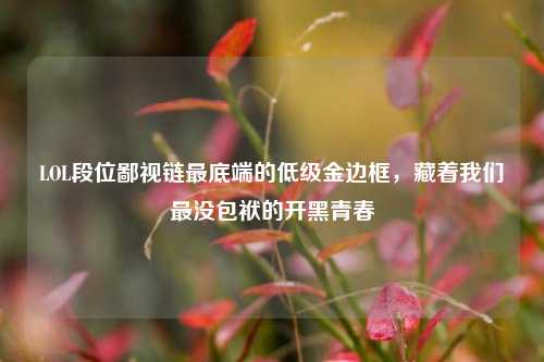 LOL段位鄙视链最底端的低级金边框,藏着我们最没包袱的开黑青春
