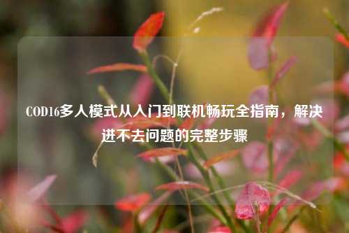 COD16多人模式从入门到联机畅玩全指南,解决进不去问题的完整步骤