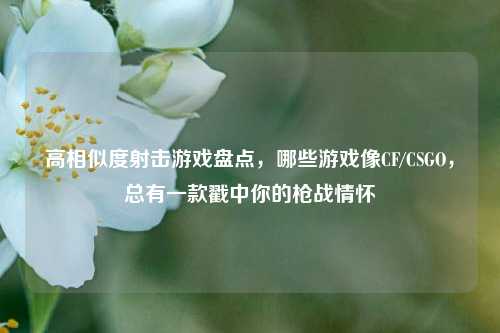 高相似度射击游戏盘点，哪些游戏像CF/CSGO，总有一款戳中你的枪战情怀