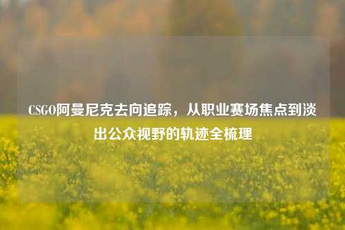 CSGO阿曼尼克去向追踪,从职业赛场焦点到淡出公众视野的轨迹全梳理