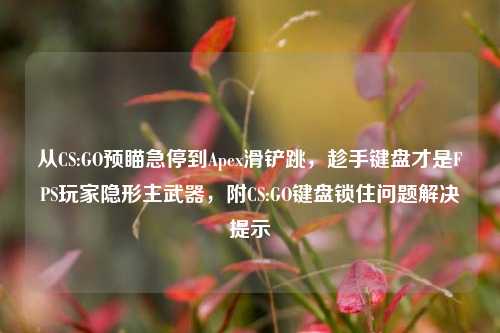 从CS:GO预瞄急停到Apex滑铲跳,趁手键盘才是FPS玩家隐形主武器,附CS:GO键盘锁住问题解决提示