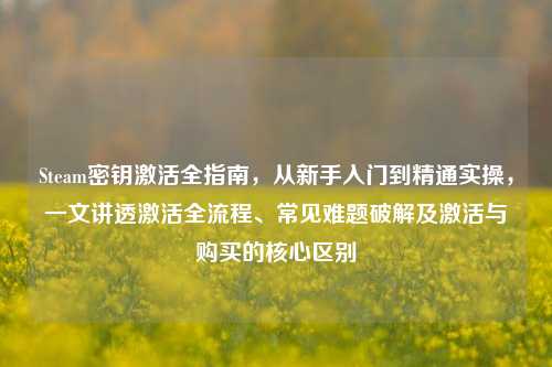 Steam密钥激活全指南,从新手入门到精通实操,一文讲透激活全流程、常见难题破解及激活与购买的核心区别